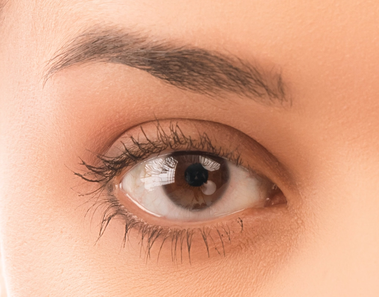 my clinique visage header